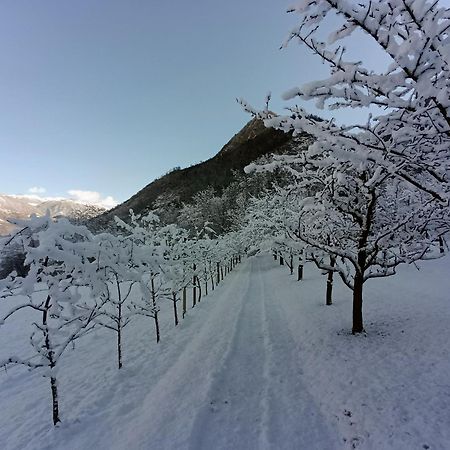 Maso Daü Villa Marter Dış mekan fotoğraf
