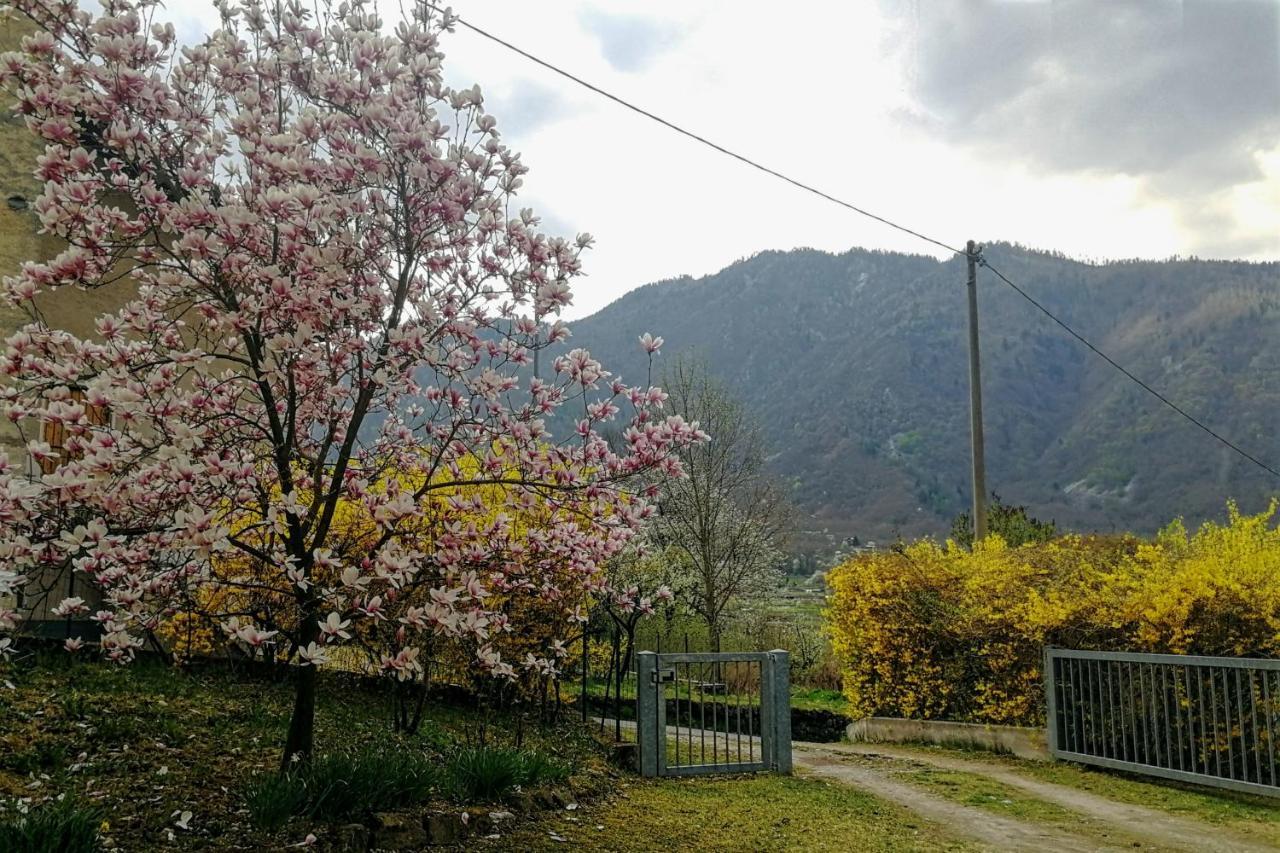 Maso Daü Villa Marter Dış mekan fotoğraf