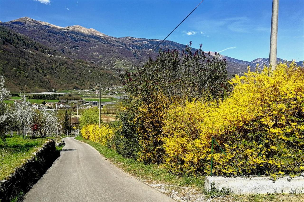 Maso Daü Villa Marter Dış mekan fotoğraf