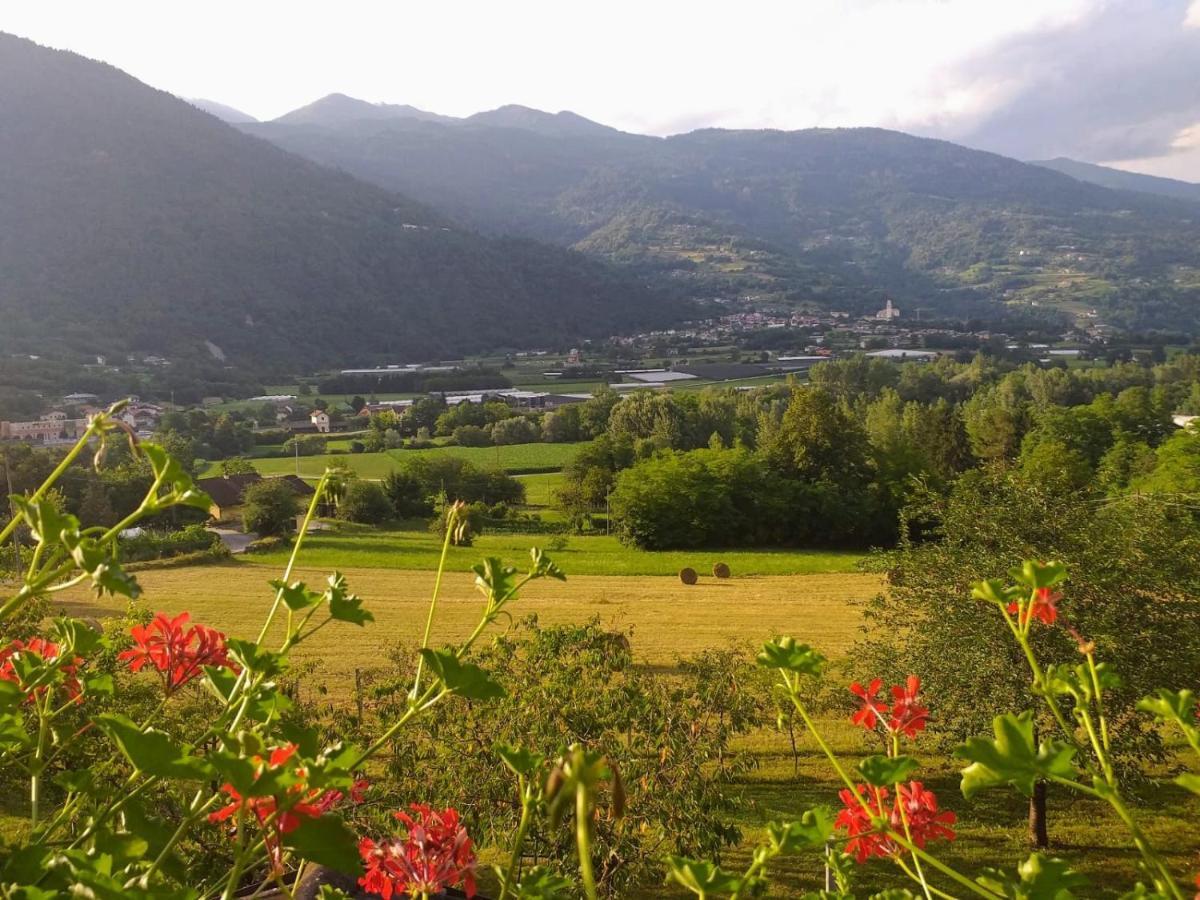 Maso Daü Villa Marter Dış mekan fotoğraf