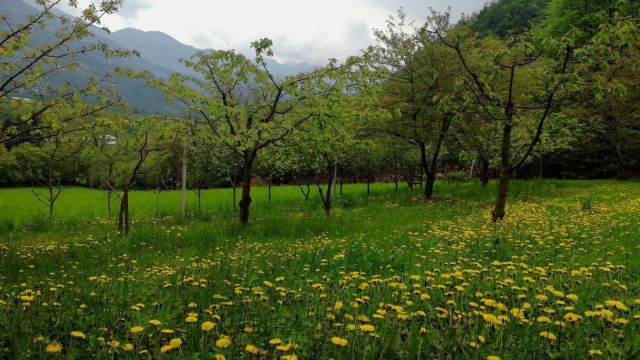 Maso Daü Villa Marter Dış mekan fotoğraf