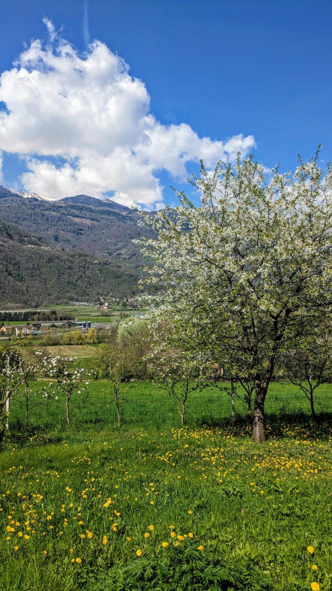 Maso Daü Villa Marter Dış mekan fotoğraf
