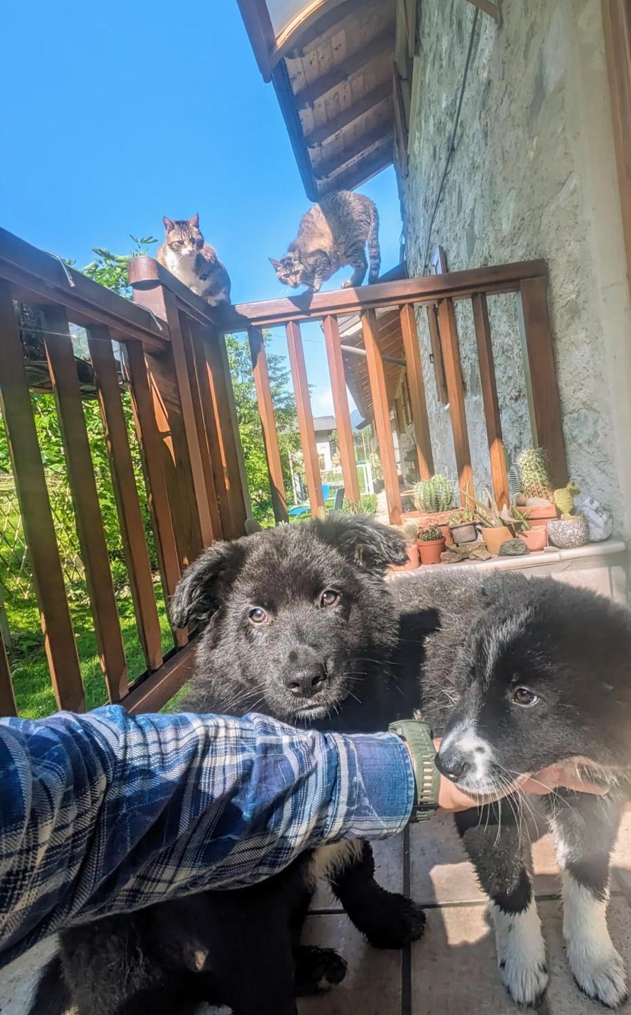 Maso Daü Villa Marter Dış mekan fotoğraf